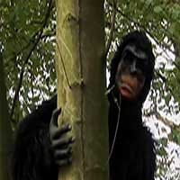 Gorilla Scaring Public